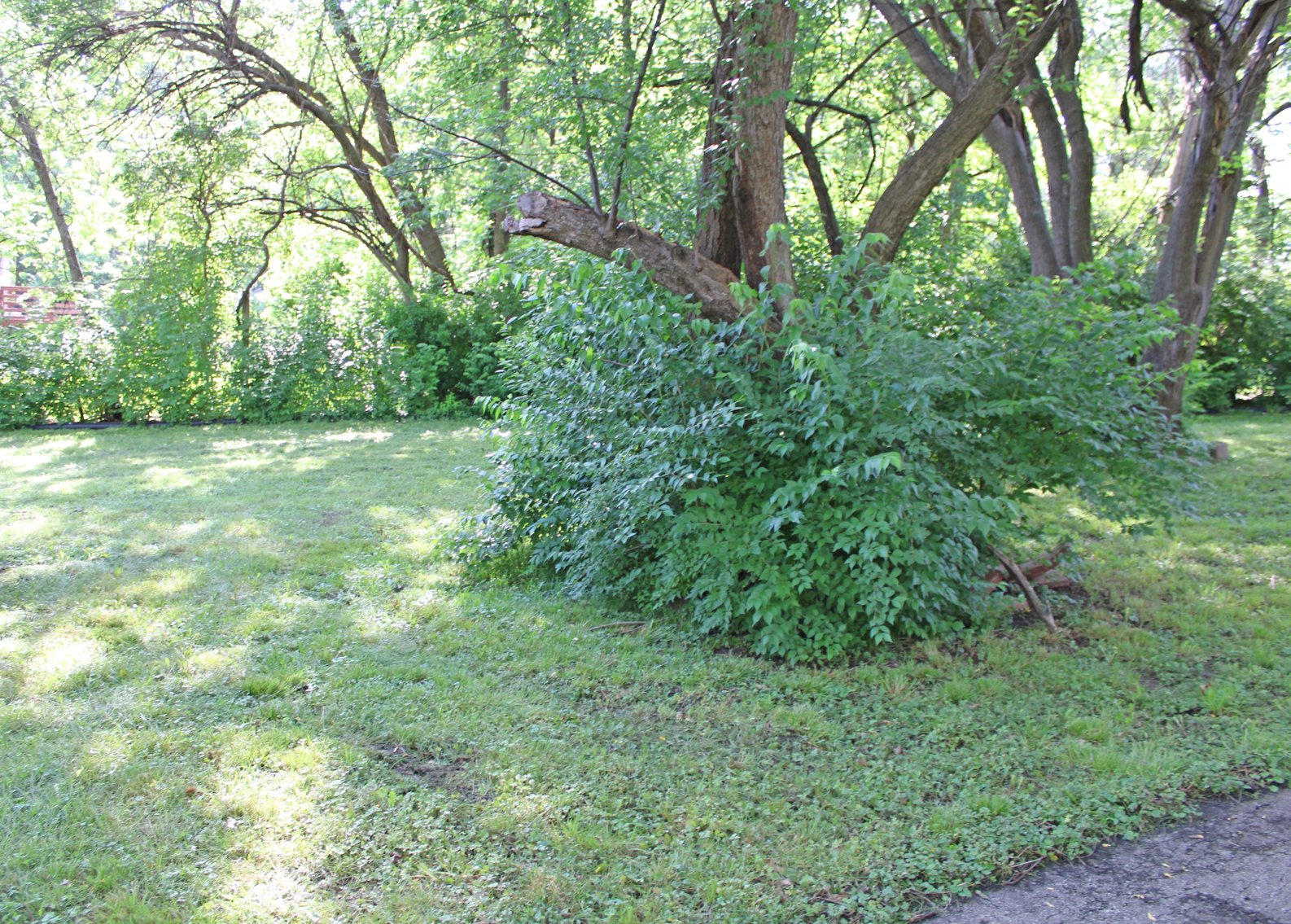 Image for REAL ESTATE & PERSONAL PROPERTY AUCTION