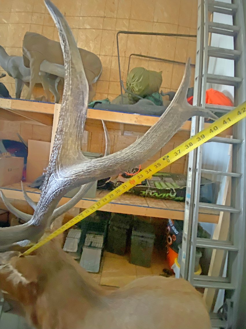 Image for MEGA COLLECTOR'S ESTATE AUCTION