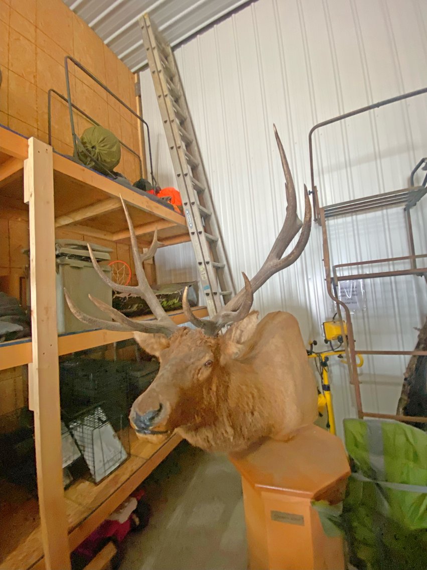 Image for MEGA COLLECTOR'S ESTATE AUCTION