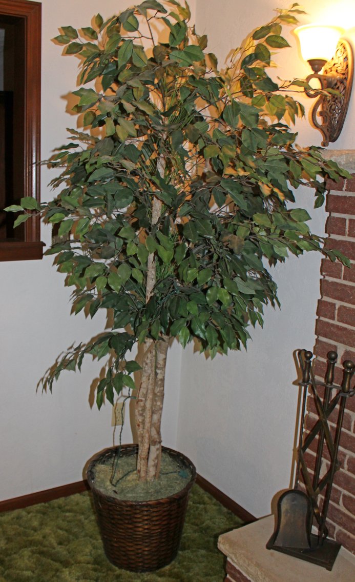 Image for LIVING ESTATE AUCTION