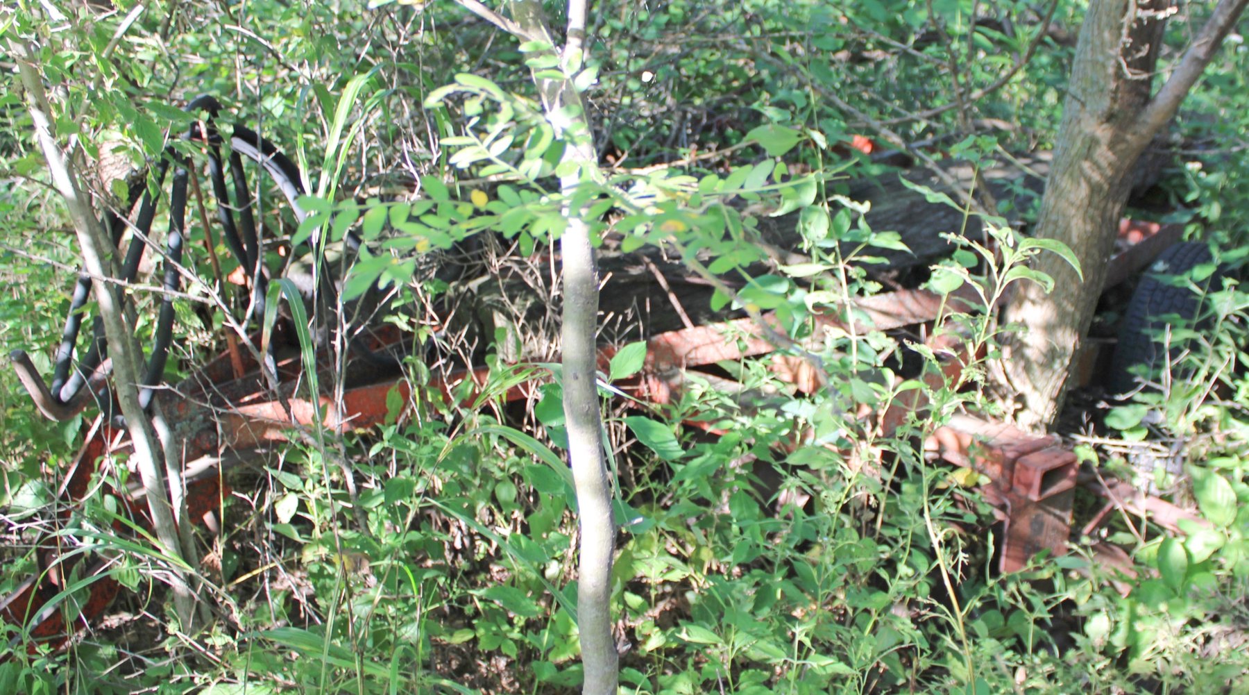 Image for FARM AUCTION