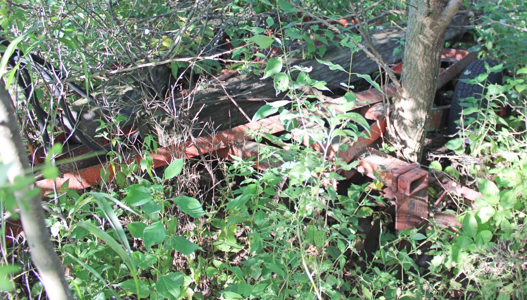 Image for FARM AUCTION