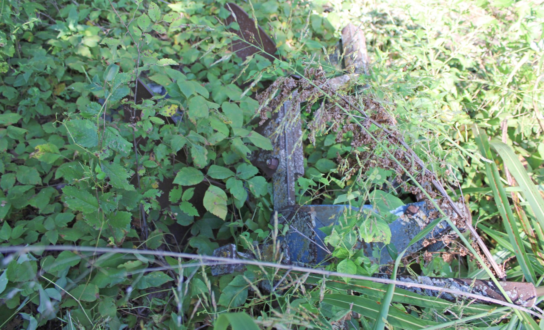 Image for FARM AUCTION