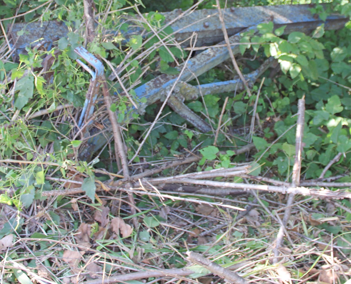 Image for FARM AUCTION