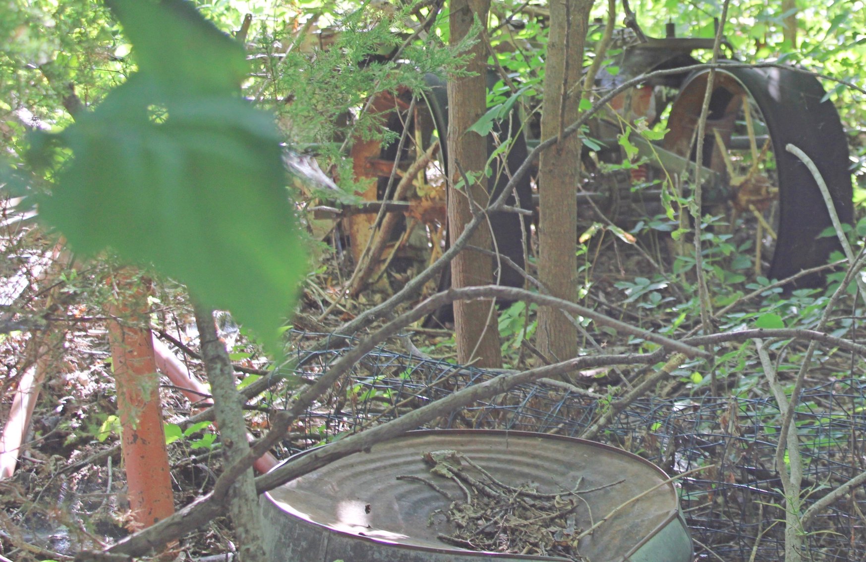 Image for FARM AUCTION