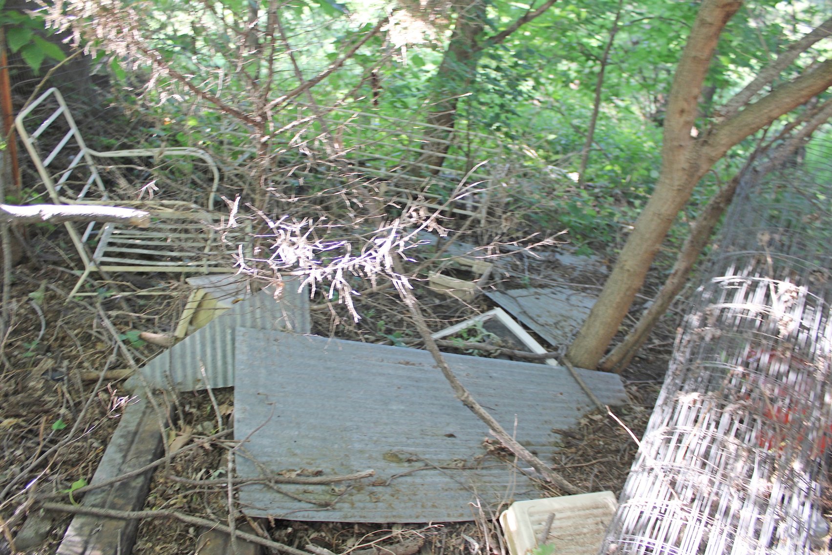 Image for FARM AUCTION