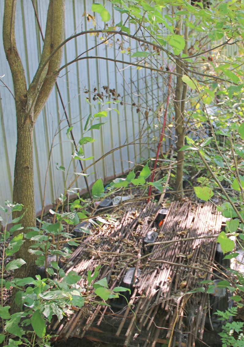 Image for FARM AUCTION