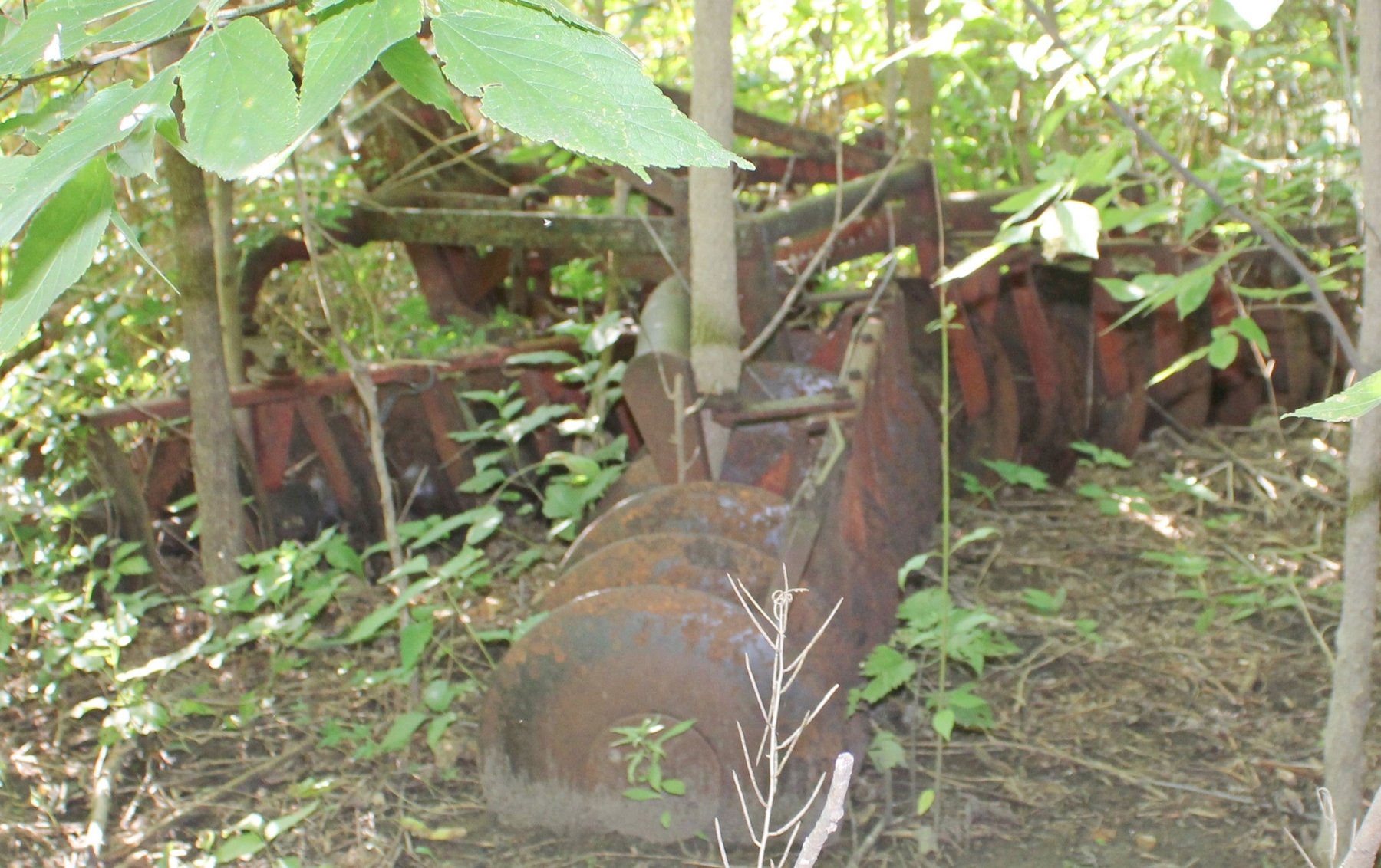 Image for FARM AUCTION