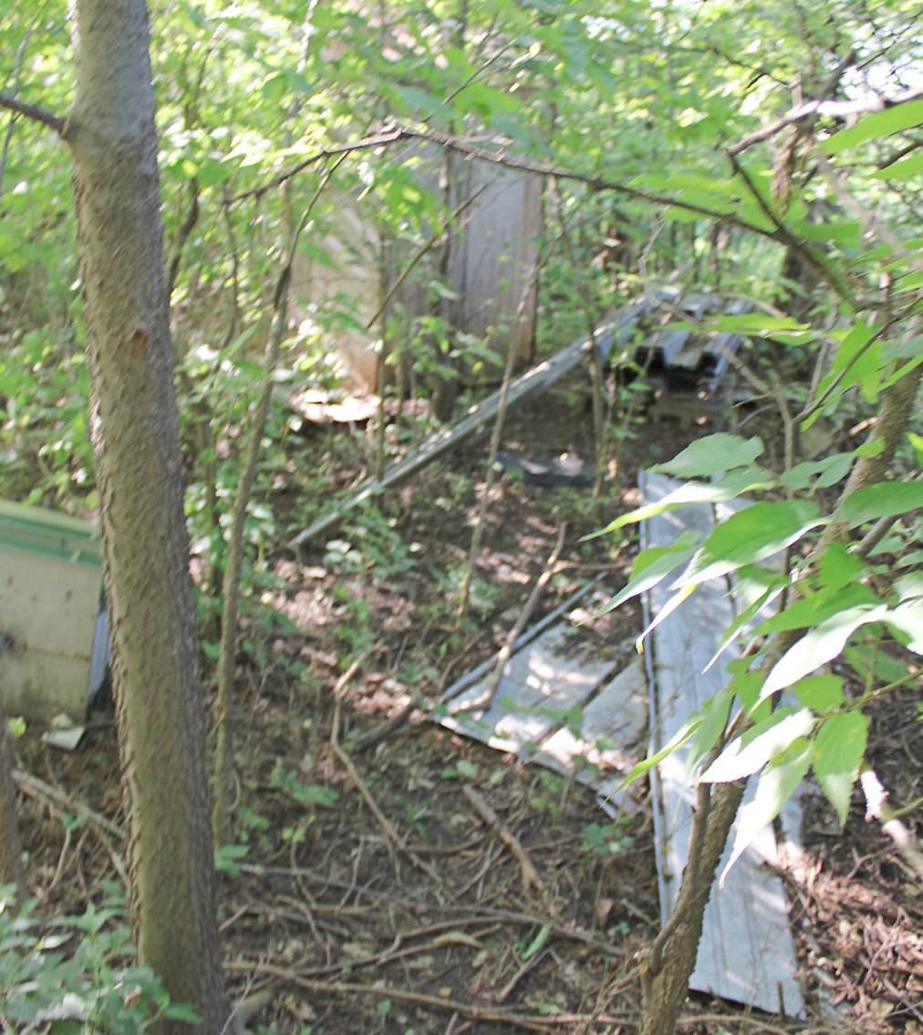 Image for FARM AUCTION