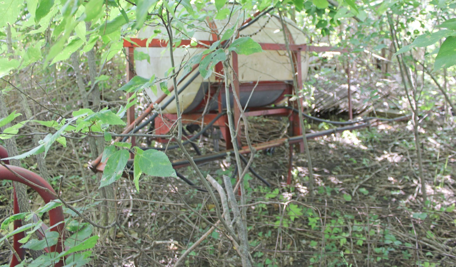 Image for FARM AUCTION