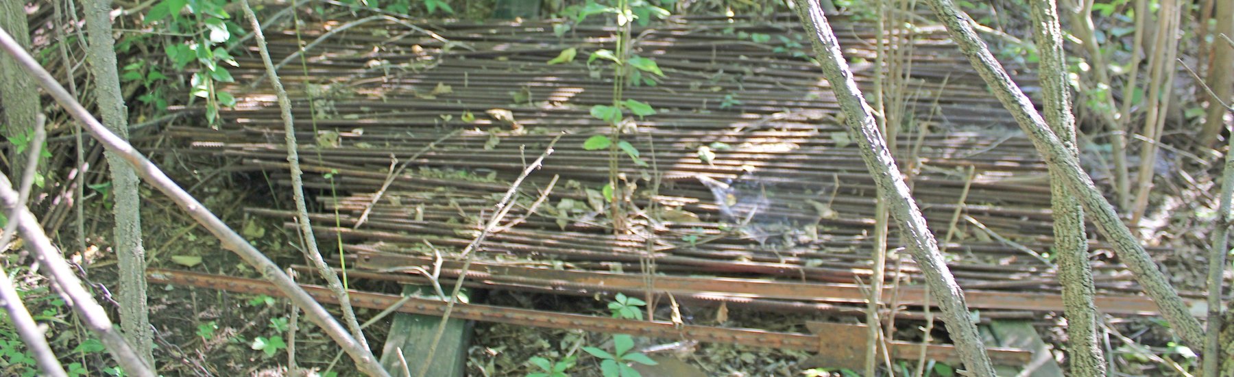 Image for FARM AUCTION