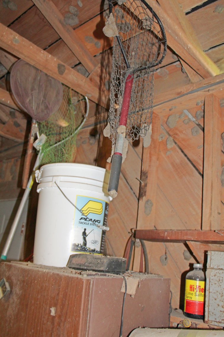 Image for FARM AUCTION