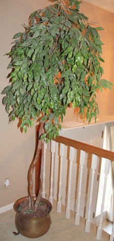 Image for LAST MINUTE EMERGENCY ESTATE AUCTION