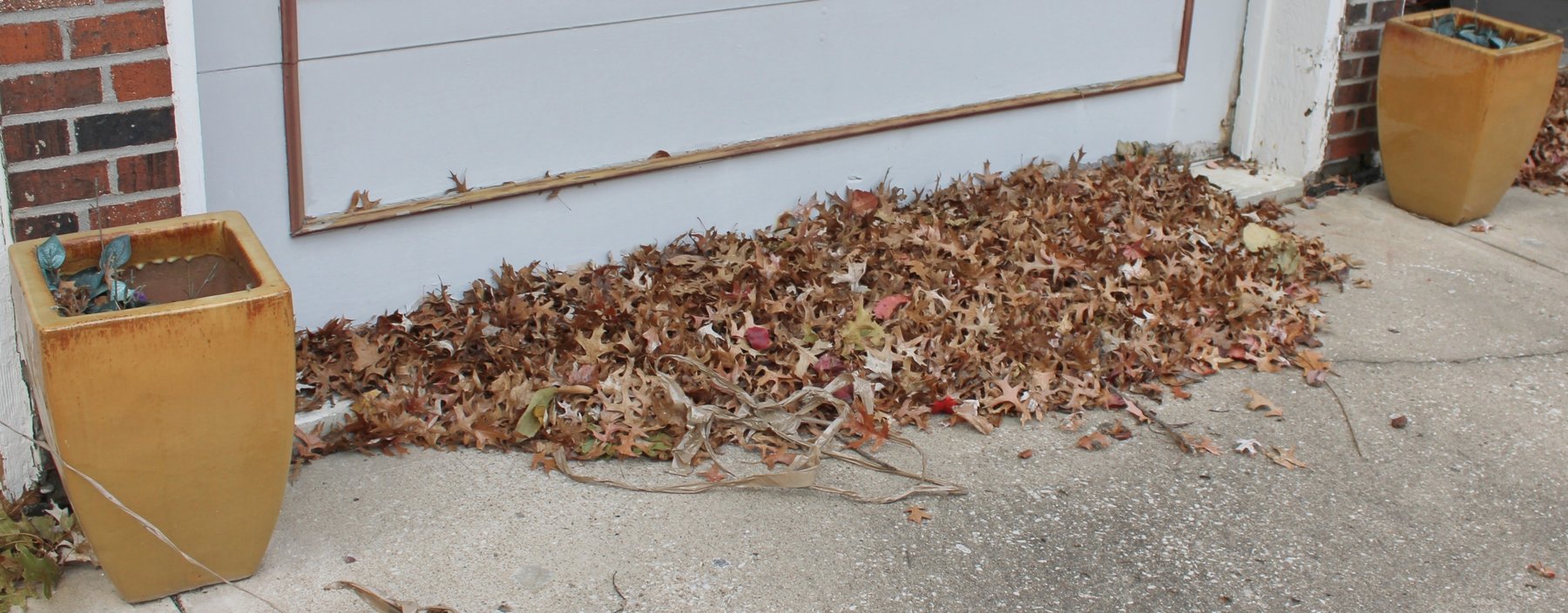 Image for ESTATE AUCTION