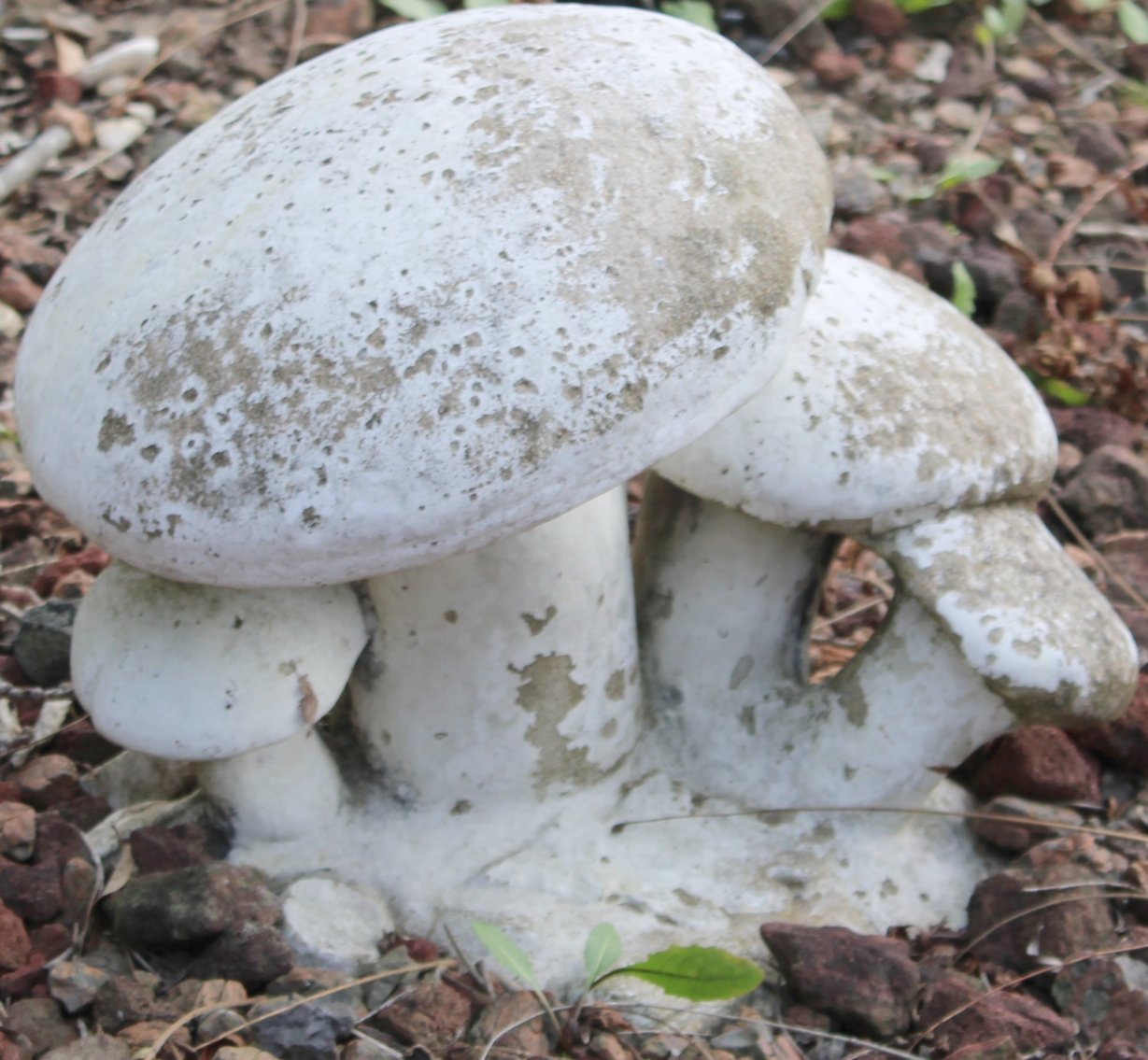 Image for ESTATE AUCTION