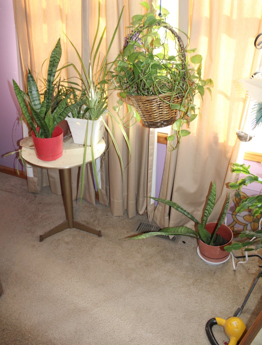 Image for ESTATE AUCTION