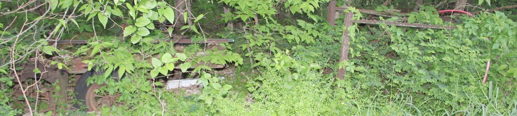 Image for HUGE 2-RING FARM ESTATE AUCTION