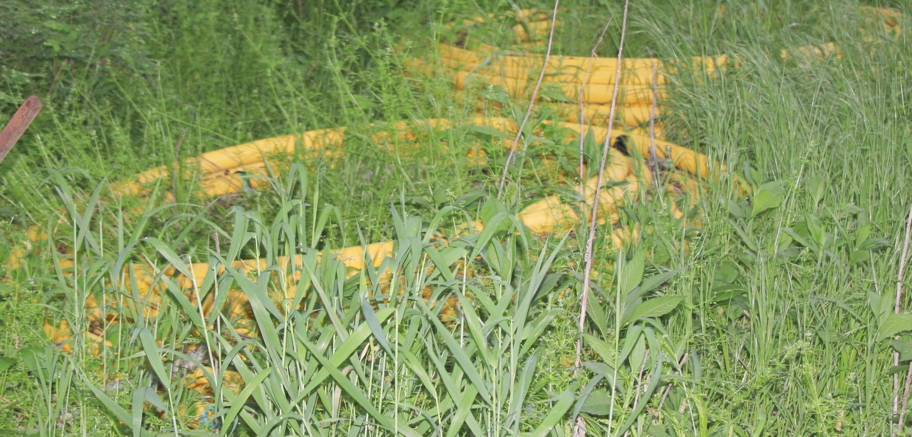 Image for HUGE 2-RING FARM ESTATE AUCTION