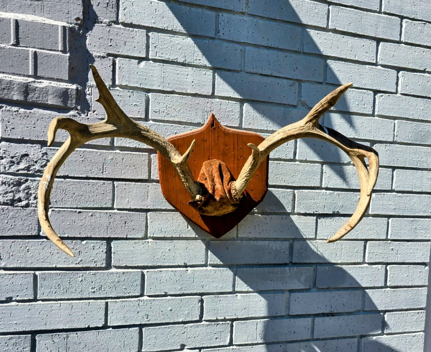 Image for GREAT ANTIQUE & ESTATE AUCTION