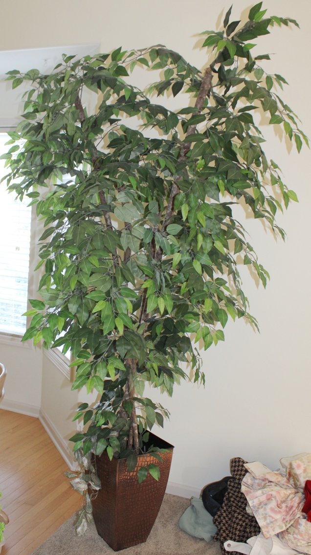 Image for FANTASTIC DOUBLE ESTATE CARAVAN AUCTION