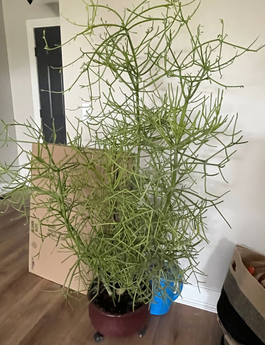 Image for SHORT NOTICE LIVING ESTATE AUCTION