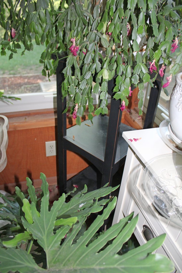 Image for HUGE 2-RING ESTATE AUCTION