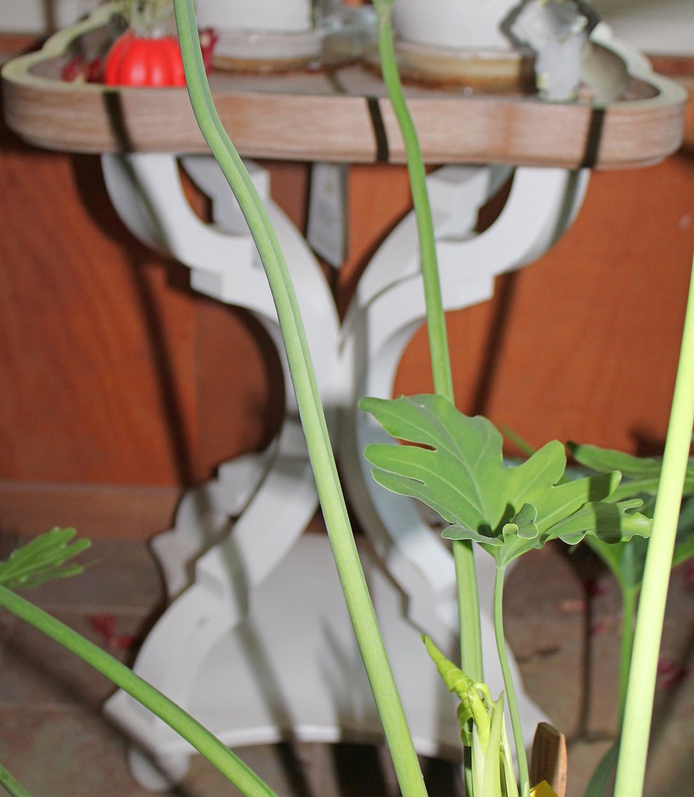 Image for HUGE 2-RING ESTATE AUCTION