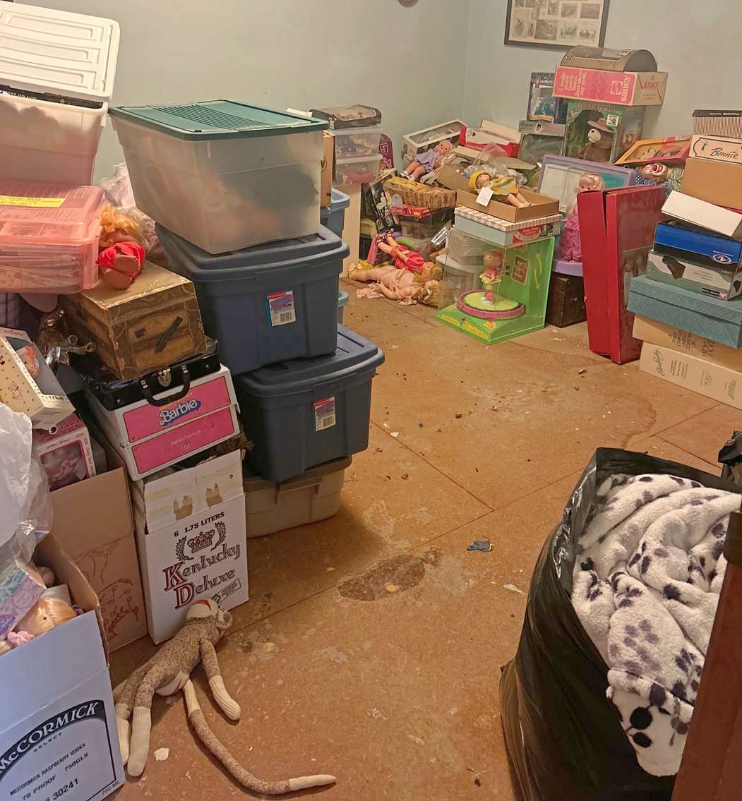 Image for HUGE 2-RING LIFETIME COLLECTOR'S ESTATE AUCTION