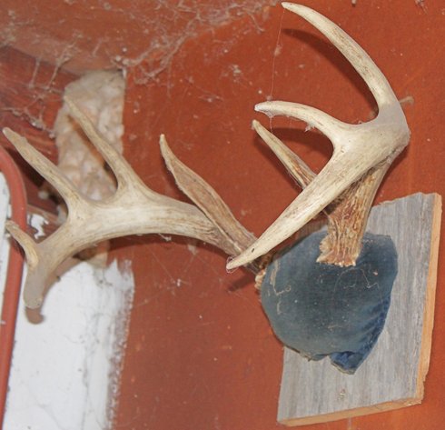 Image for ESTATE AUCTION