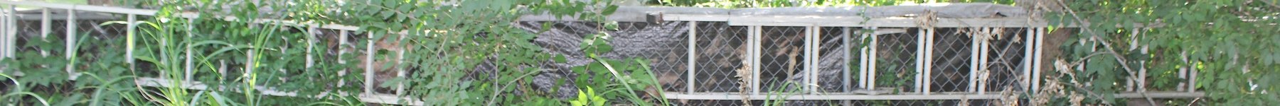 Image for ESTATE AUCTION