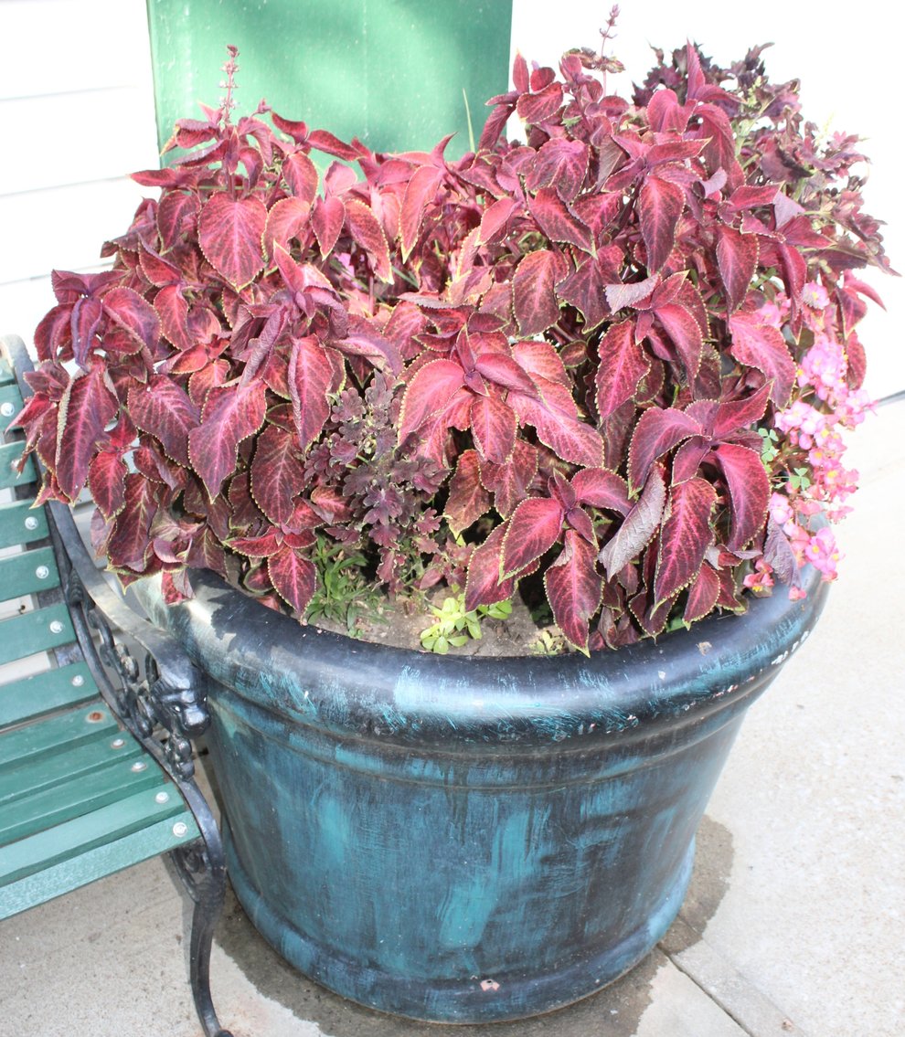 Image for ESTATE AUCTION