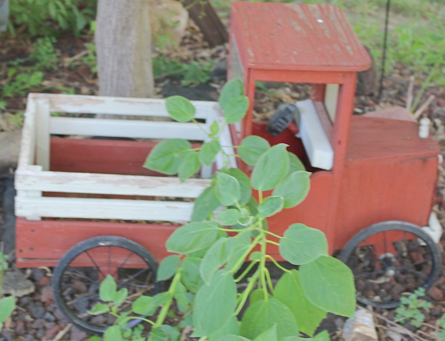 Image for ESTATE AUCTION