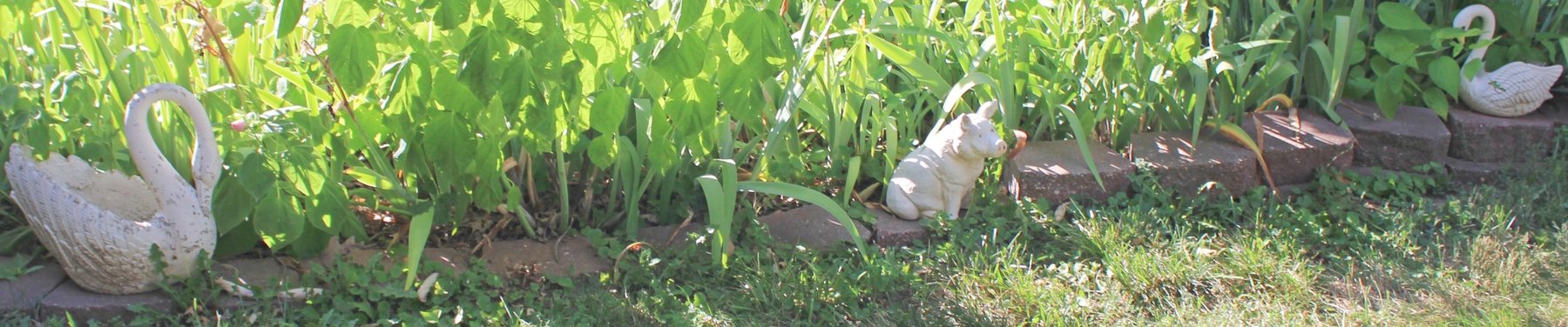 Image for ESTATE AUCTION