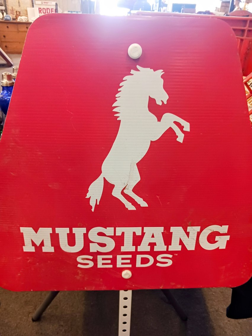 Image for INDOOR ANTIQUE AUCTION