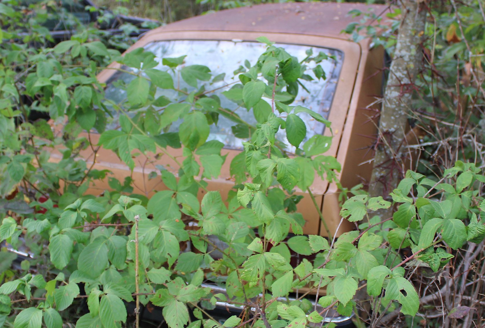 Image for MASSIVE 2-DAY ESTATE AUCTION