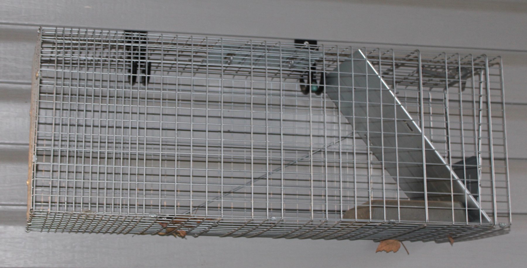 Image for EMERGENCY AUCTION