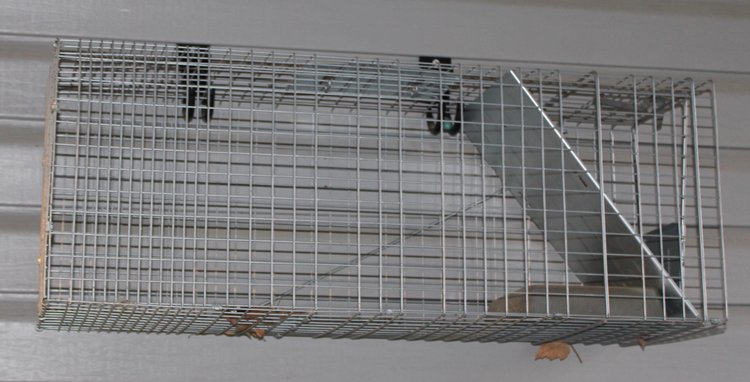 Image for EMERGENCY AUCTION