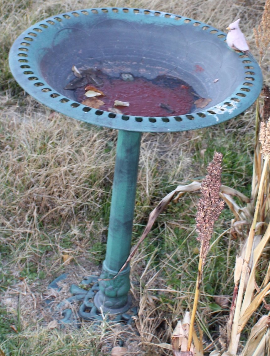 Image for EMERGENCY AUCTION