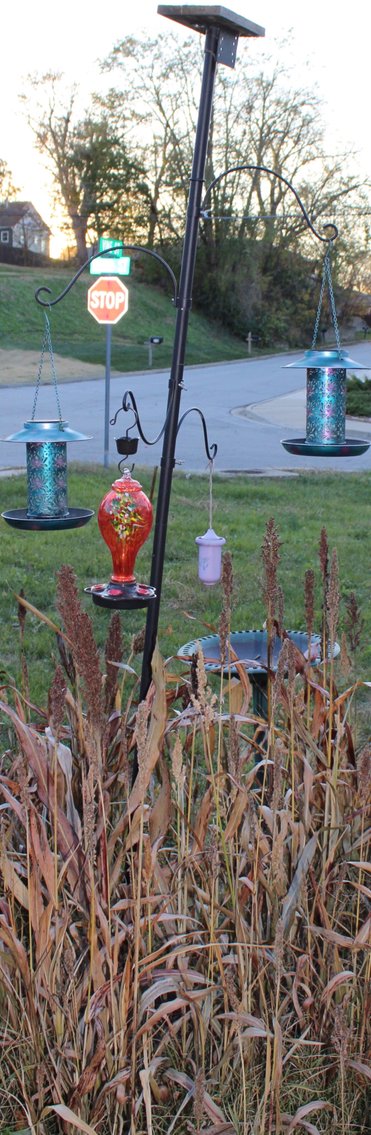 Image for EMERGENCY AUCTION