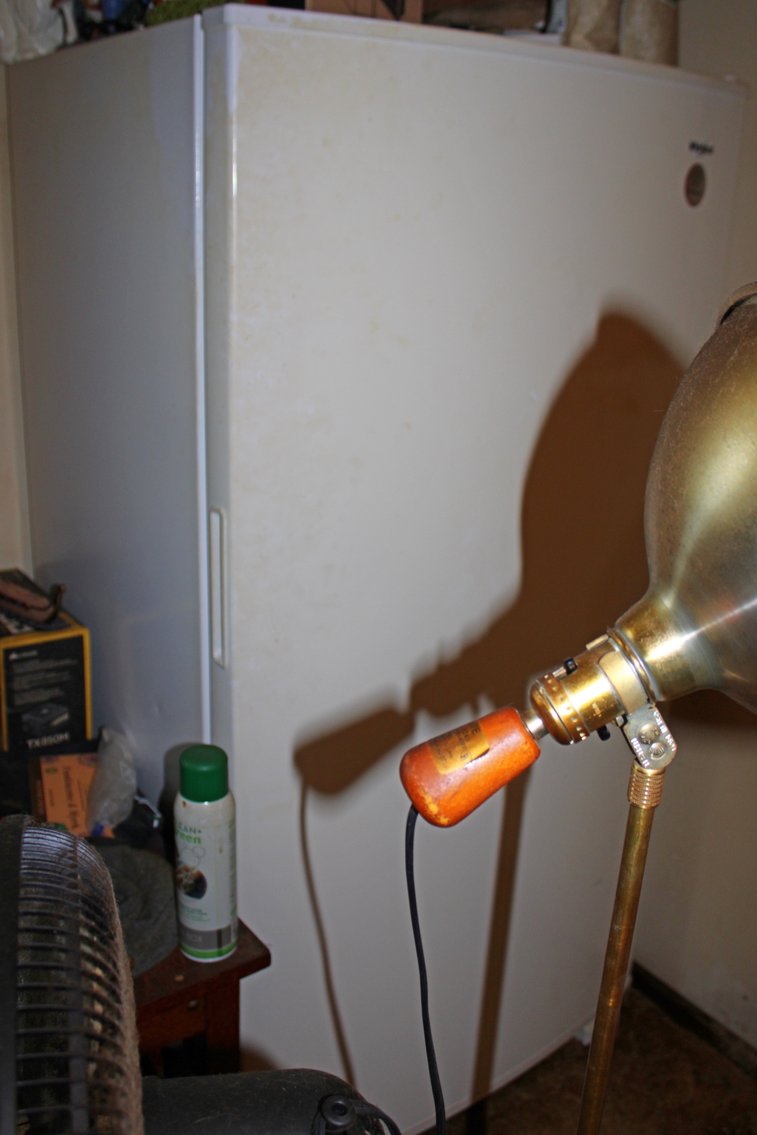 Image for EMERGENCY AUCTION