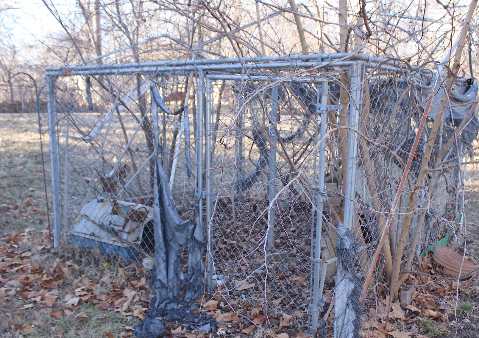 Image for ESTATE AUCTION PART 2