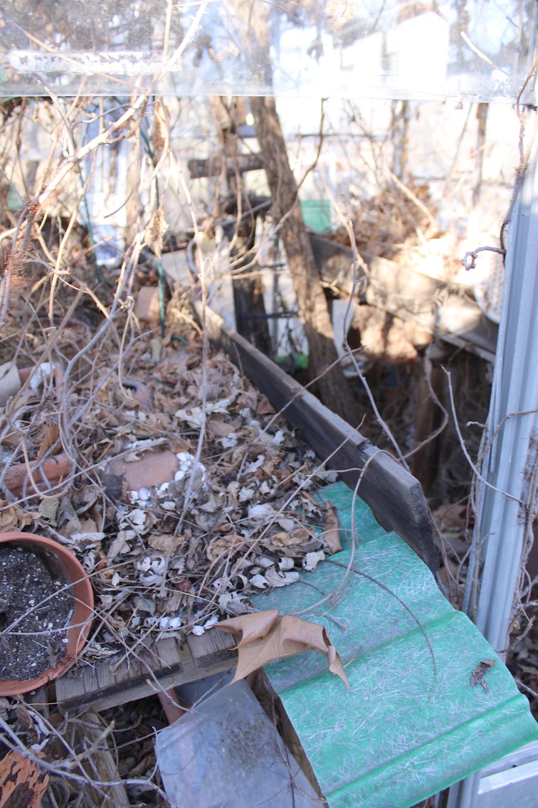 Image for ESTATE AUCTION PART 2