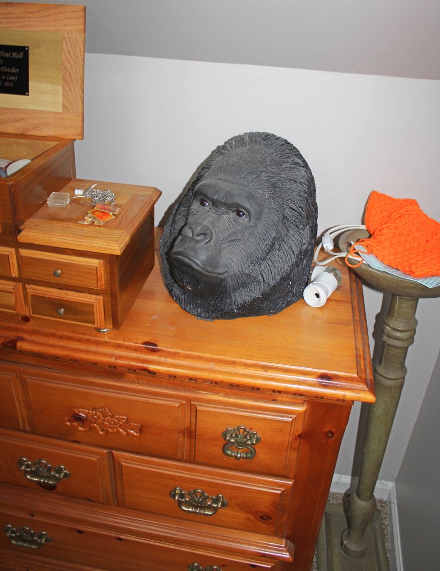 Image for HUGE COLLECTOR'S ESTATE AUCTION