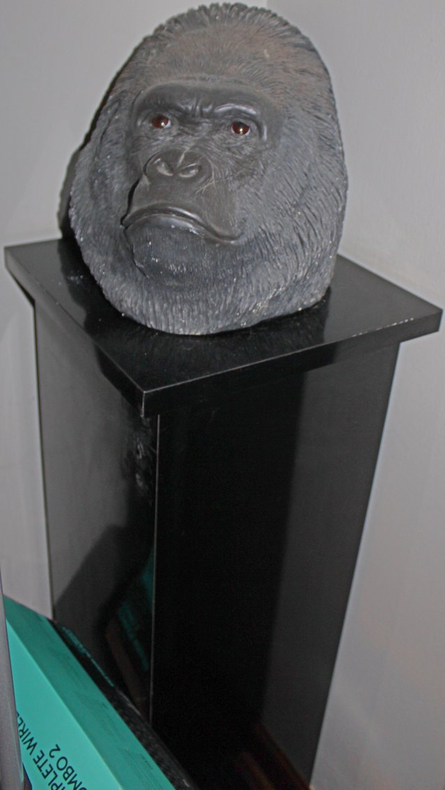 Image for HUGE COLLECTOR'S ESTATE AUCTION