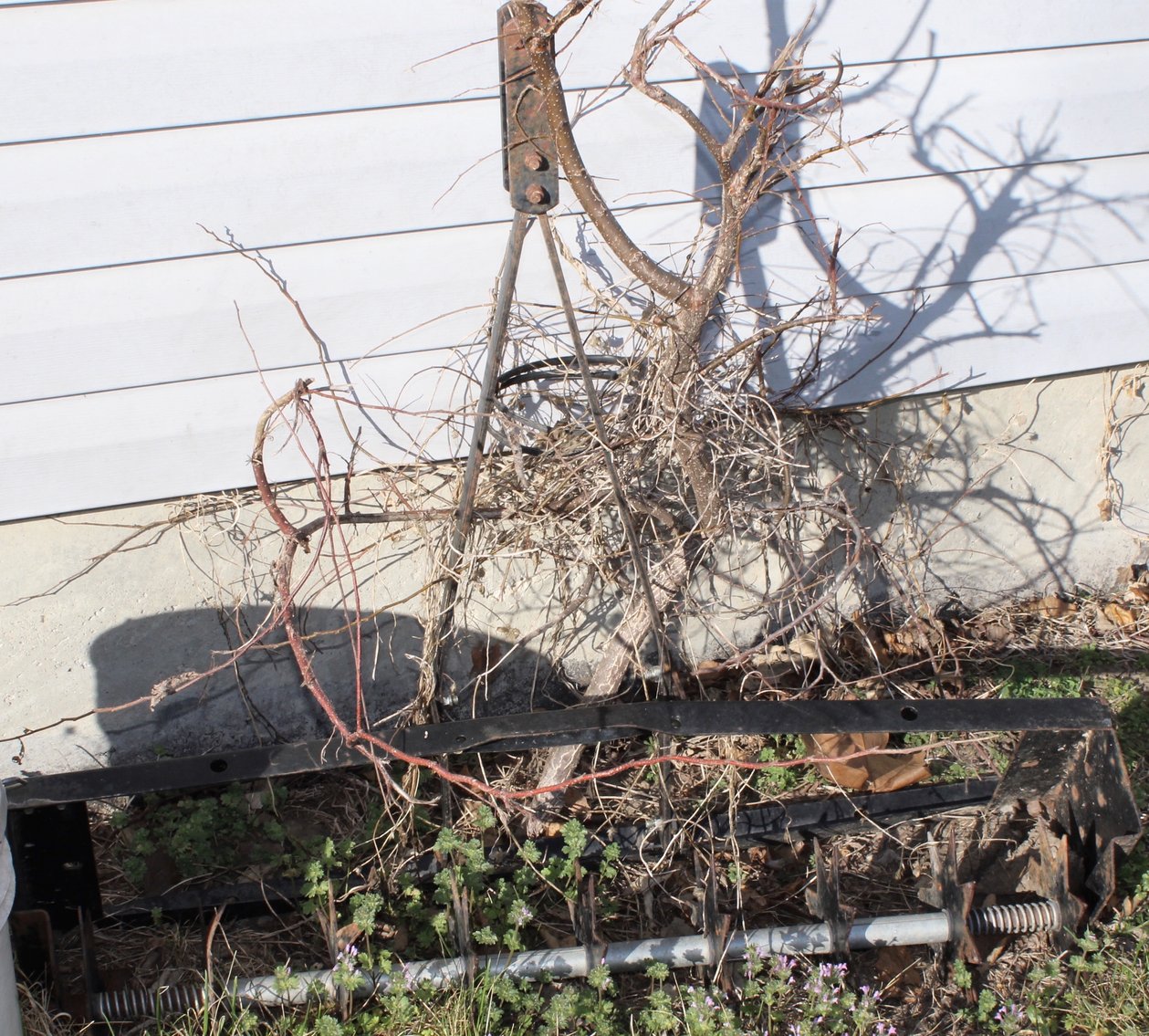 Image for HUGE LIVING ESTATE FARM AUCTION