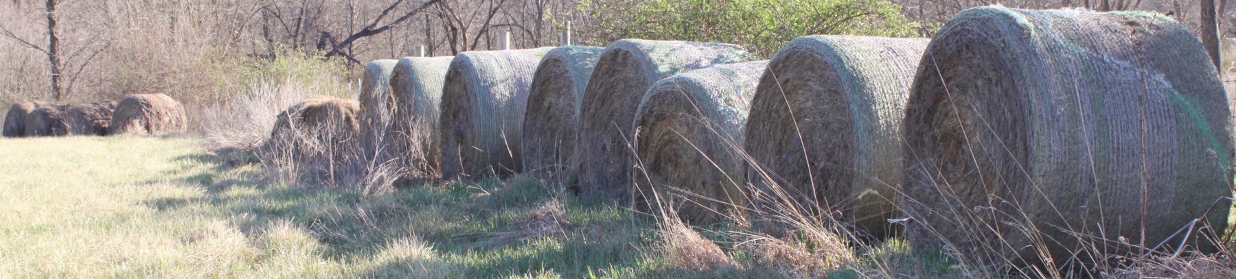 Image for HUGE LIVING ESTATE FARM AUCTION