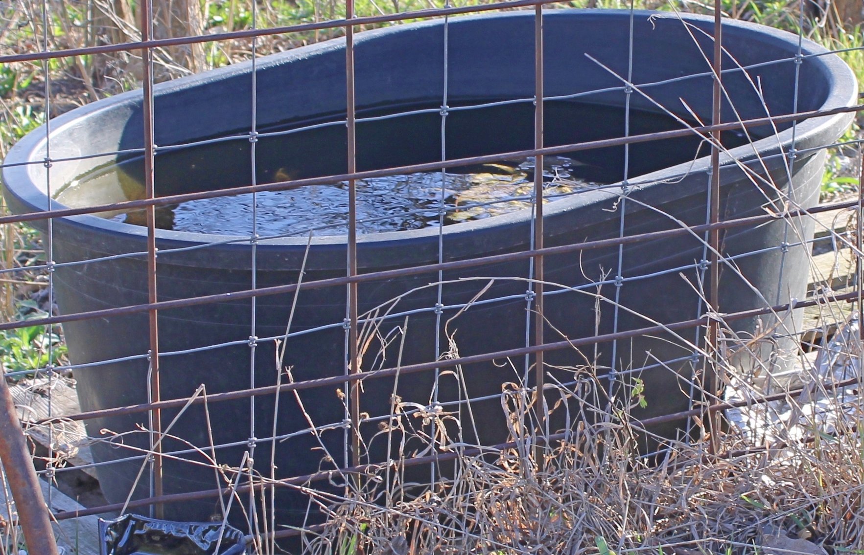 Image for HUGE LIVING ESTATE FARM AUCTION