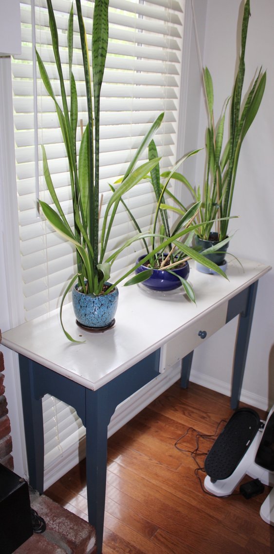 Image for ESTATE AUCTION