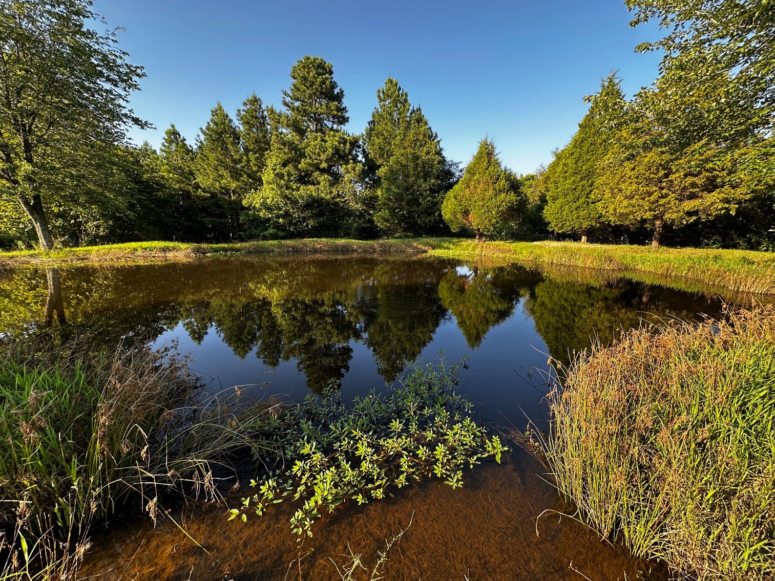 Image for 430 Bard Lane・Greenville