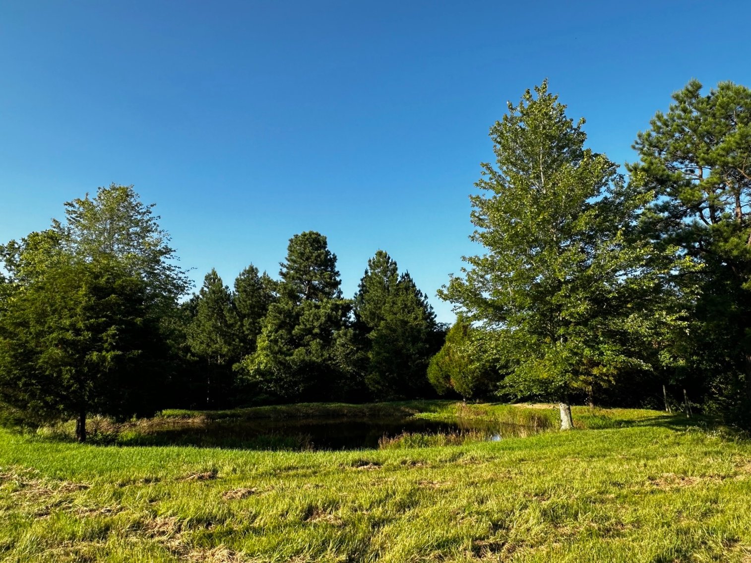 Image for 430 Bard Lane・Greenville